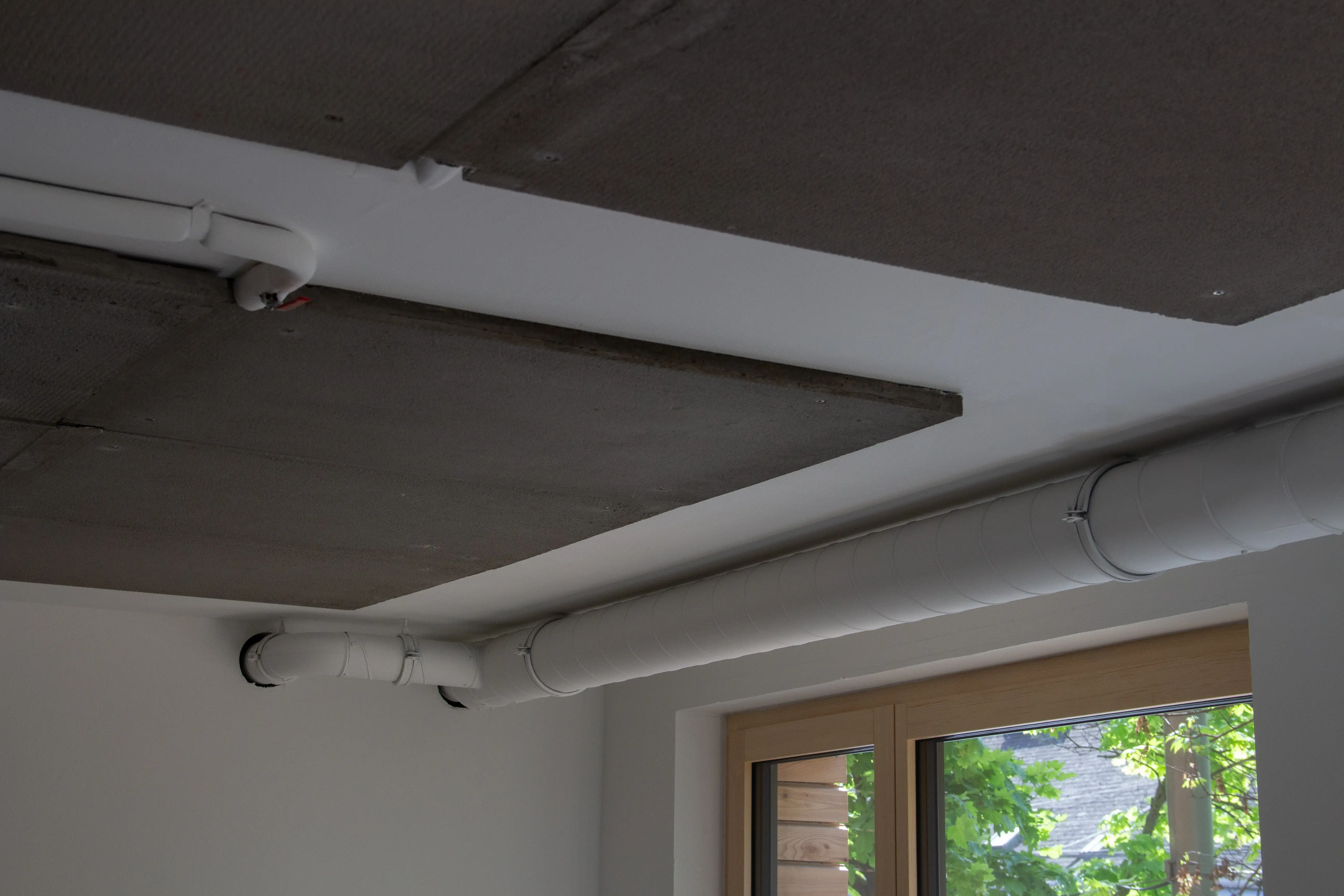 abaton direktpaneel natur nahaufnahme